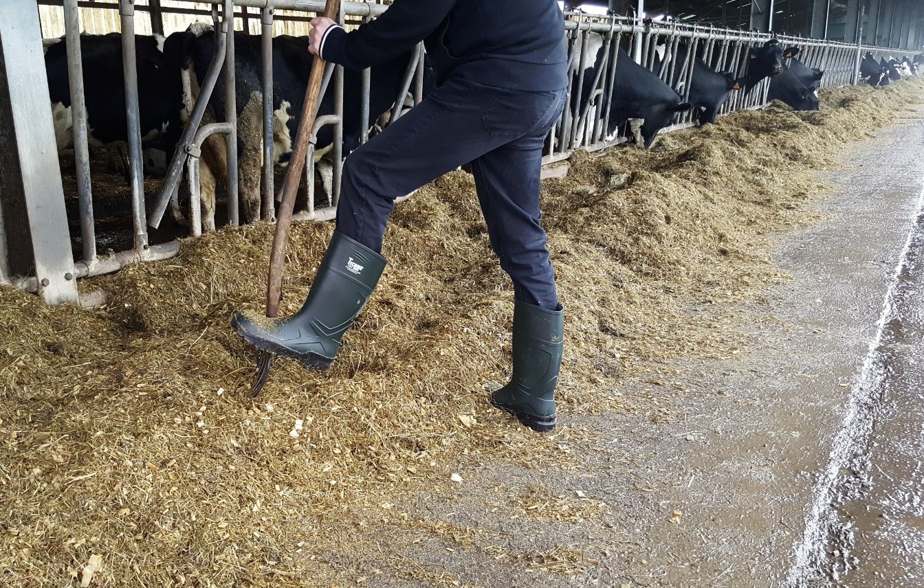 Bottes de Securité Technoboots en polyuréthane avec coque en acier S4