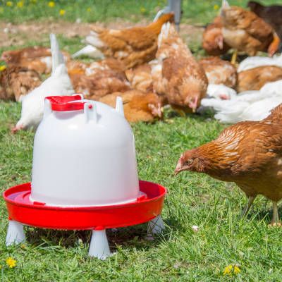 Abreuvoir 6L “Combo” 