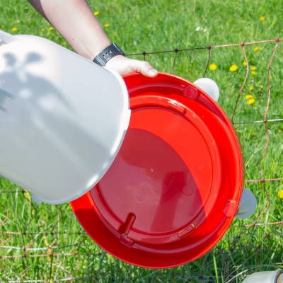 Abreuvoir 12L “Combo” 