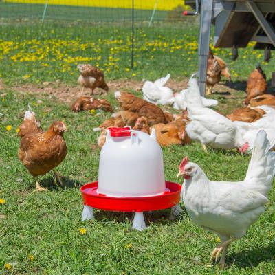 Abreuvoir 6L “Combo” 