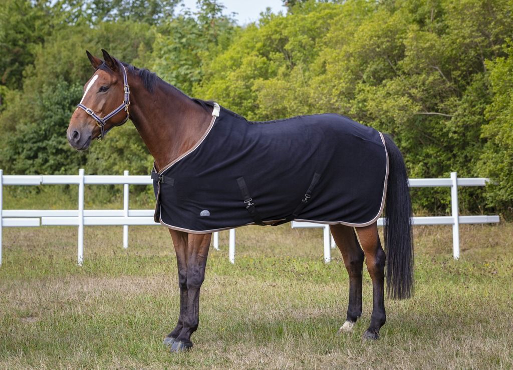 EQUITHÈME Polyfun navy halter for horses