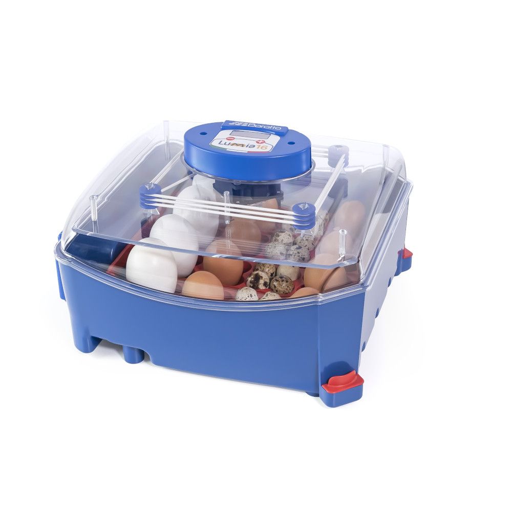 Couveuse automatique BOROTTO LUMIA 16 oeufs