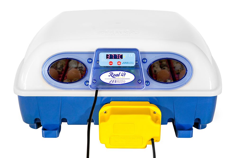 Couveuse digitale  BOROTTO 49 oeufs automatique 