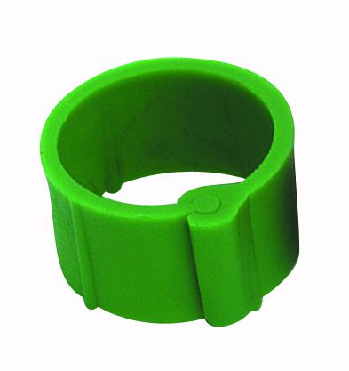 Green ring with clips 20 mm by 50