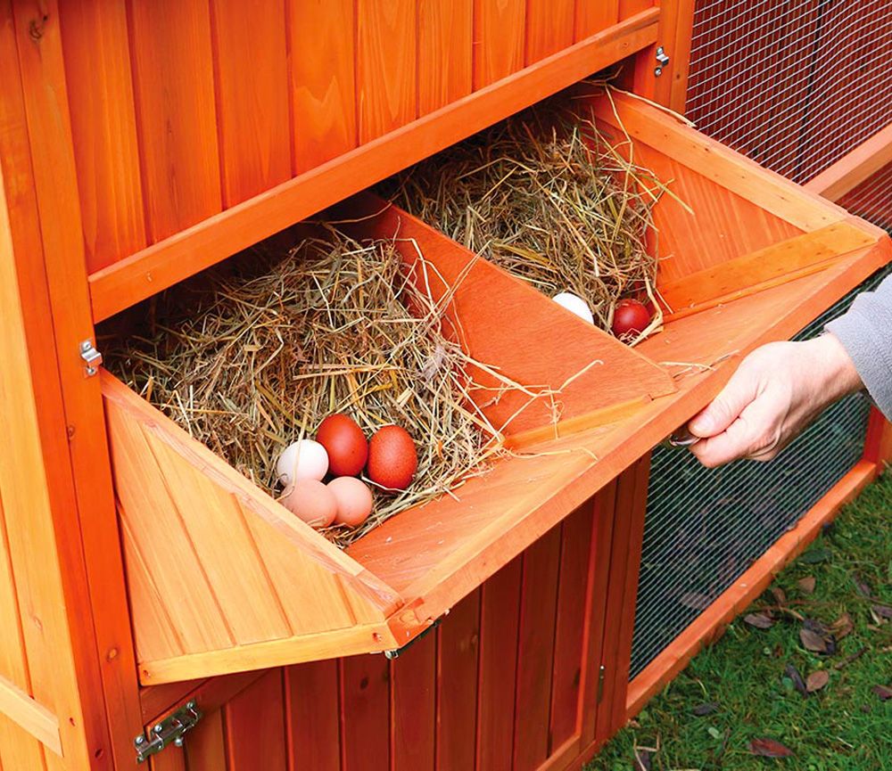 Pondoir qui se trouve sur la gauche du poulailler
