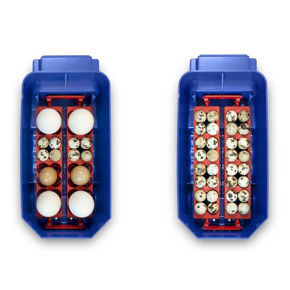 Lumia digital automatic incubator 8 eggs BOROTTO