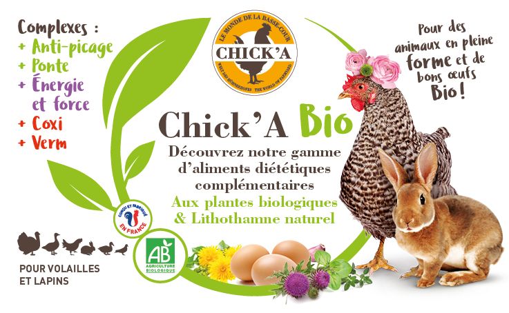 Fronton gamme BIO CHICKA pour présentoir de comptoir 