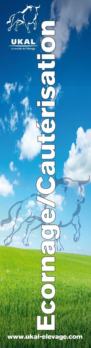 ILV Ecornage/Cautérisation UKAL 