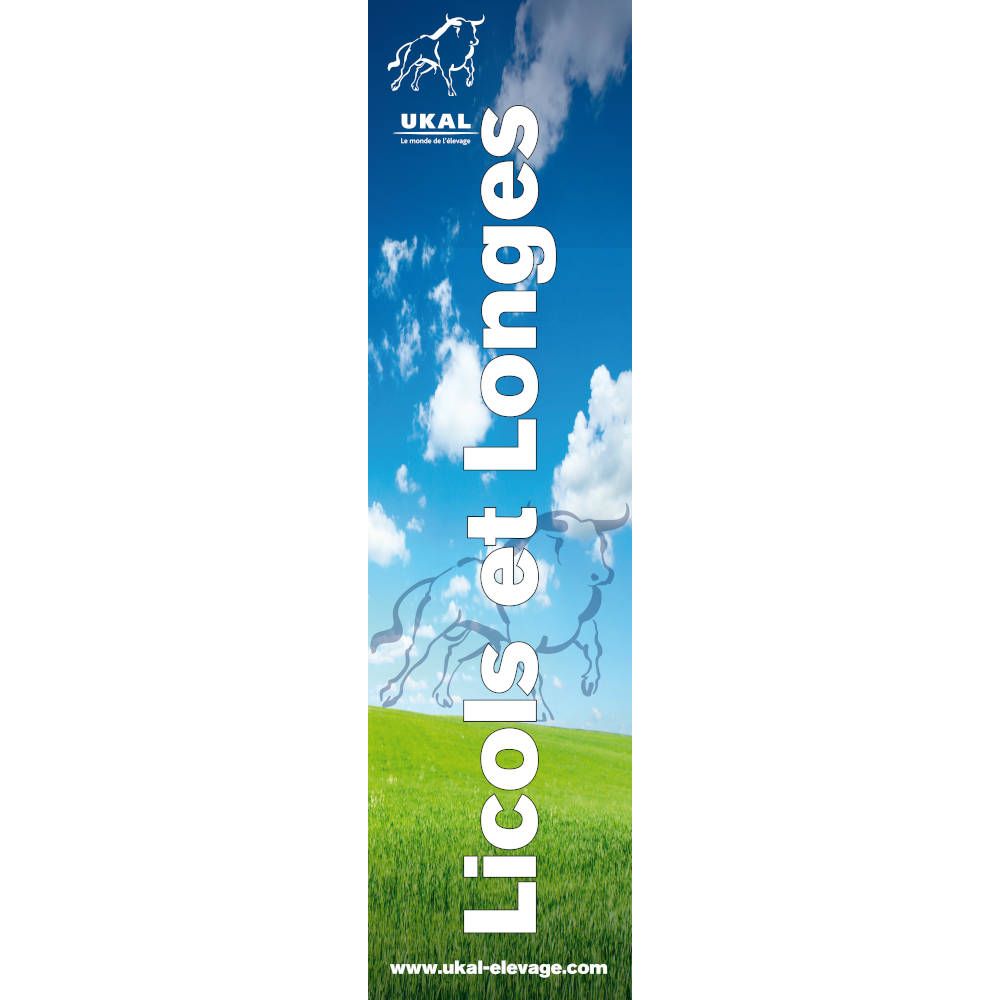 ILV Licols et Longes UKAL