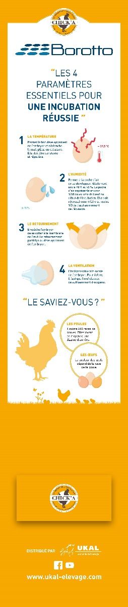 Kakémono incubation BOROTTO