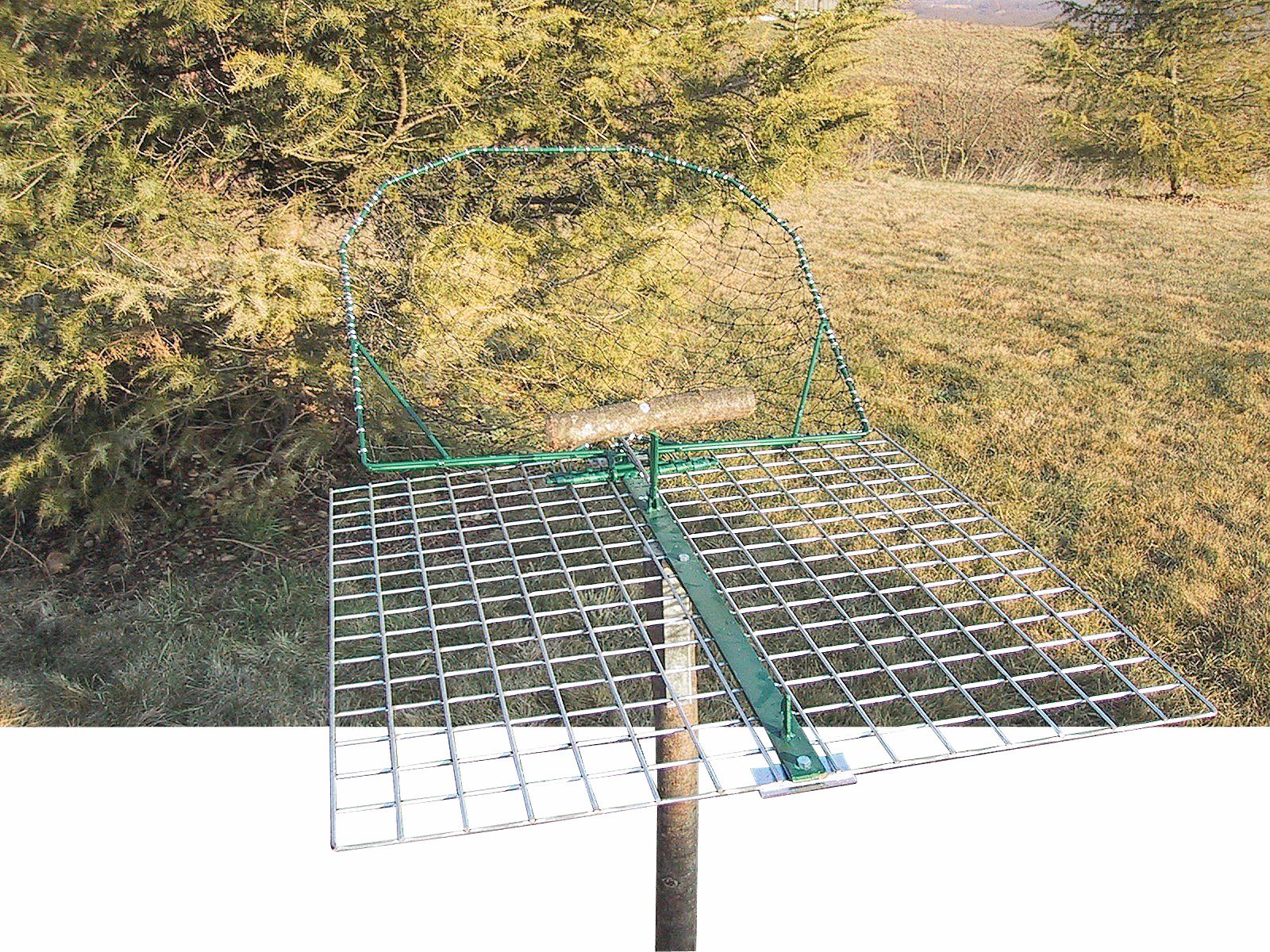 Bird traps, large model BOXTRAP