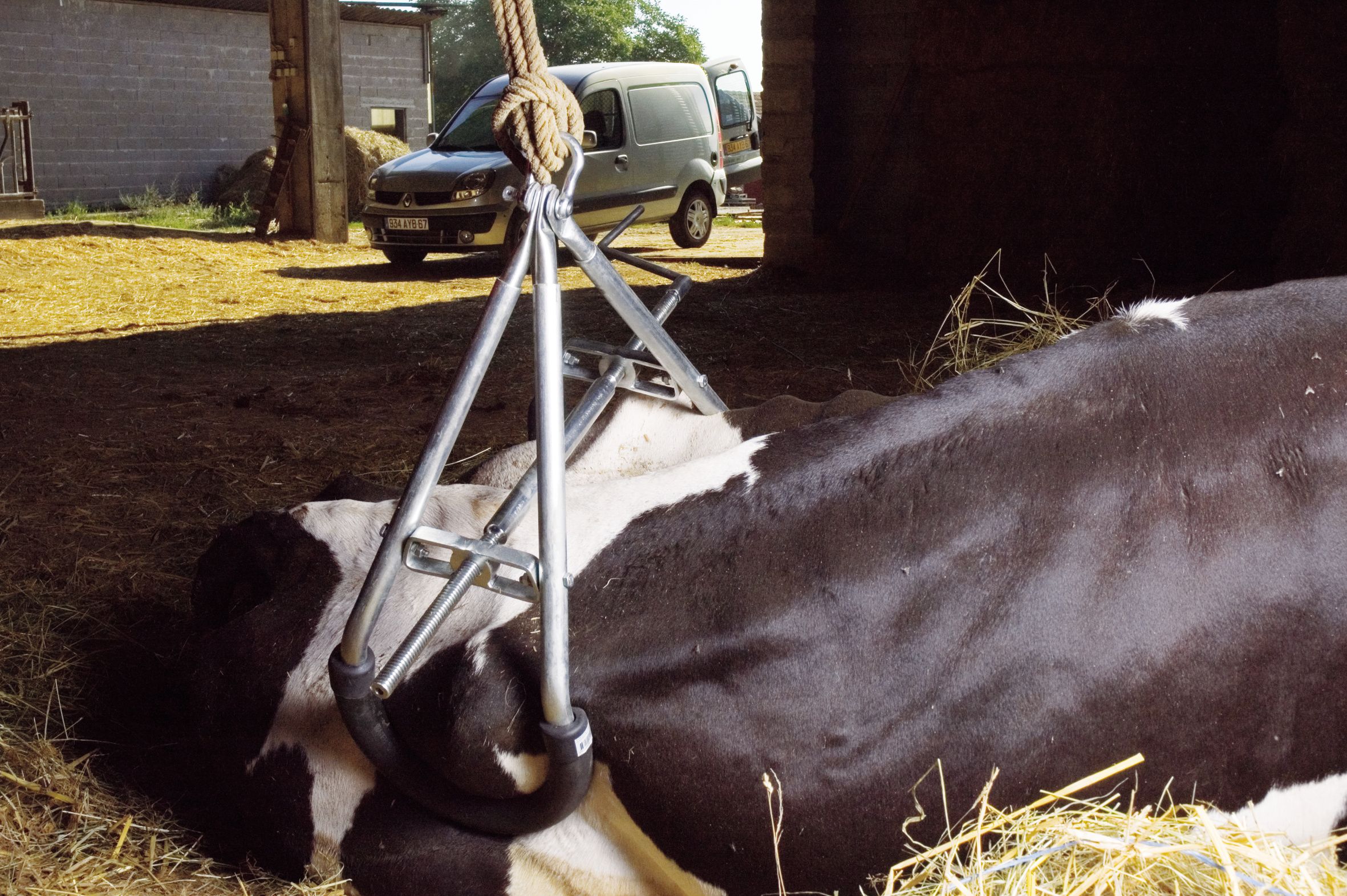 Hebegerät Für Rinder Grau