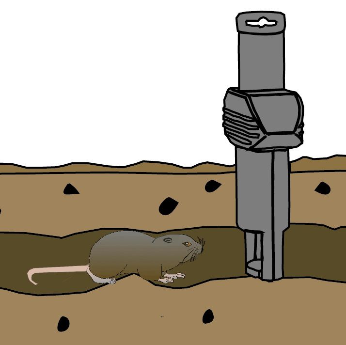 6 x SuperCat Wühlmausfalle