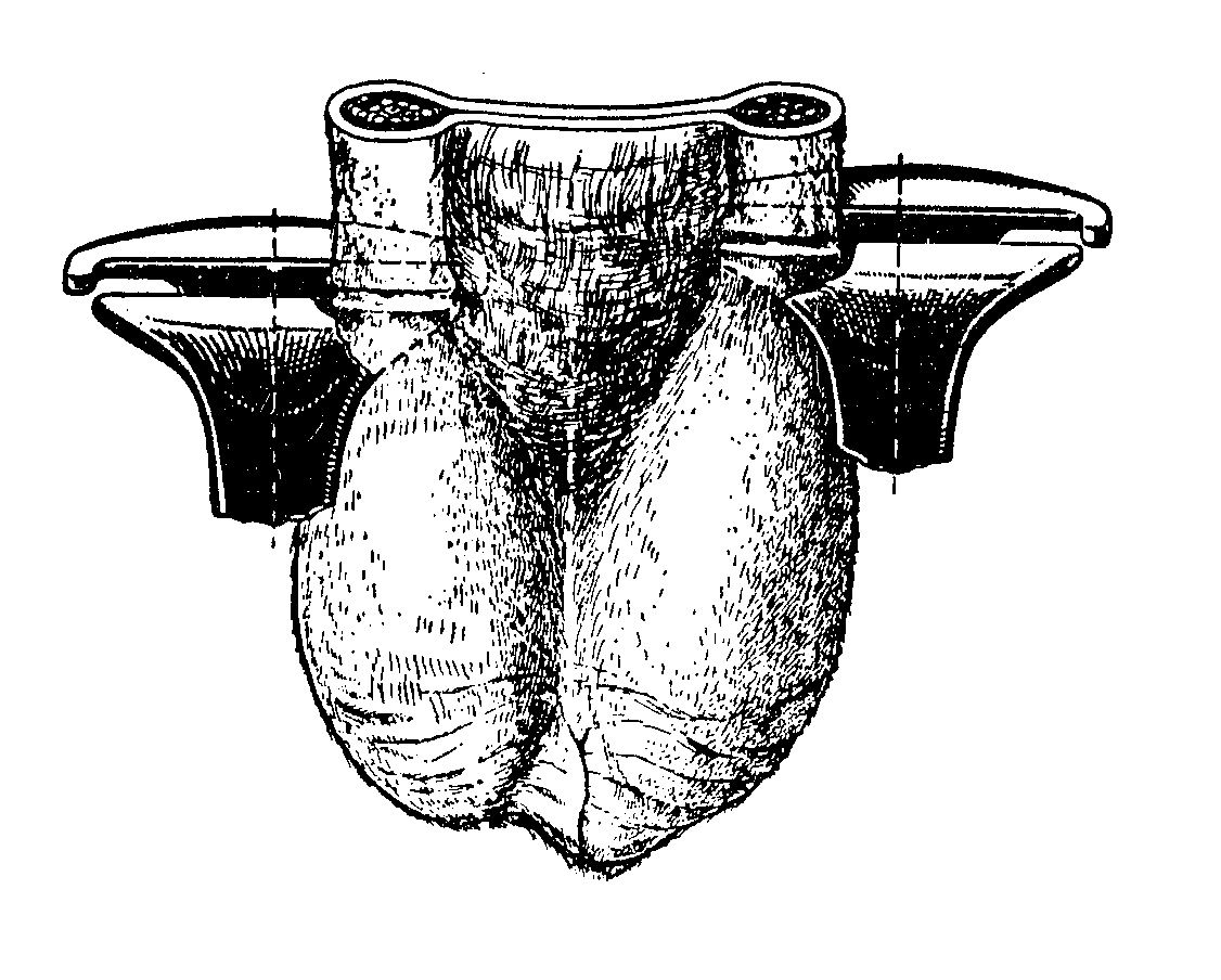 Pince à castrer 23 cm