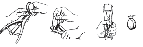 Gummiringe Orange Elastrator X500