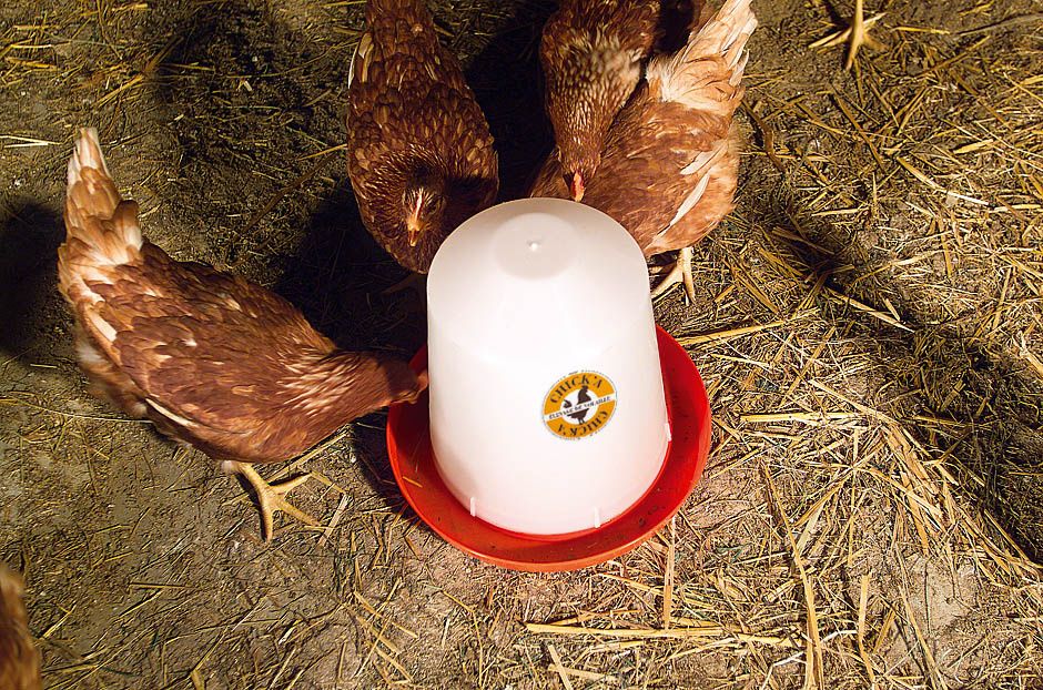 Abreuvoir plastique poule 5L