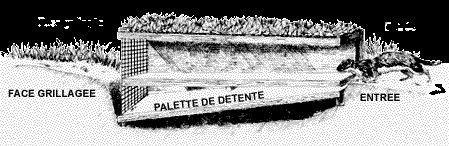 Wieselröhre Aus Holz, 49 x 6 x 8 cm