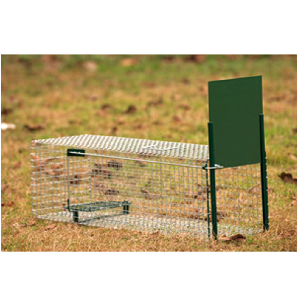  Single-entry box with sliding door, 62 x 21 x 21 cm BOXTRAP