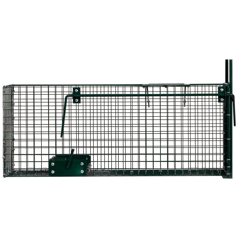  Single-entry box with sliding door, 62 x 21 x 21 cm BOXTRAP