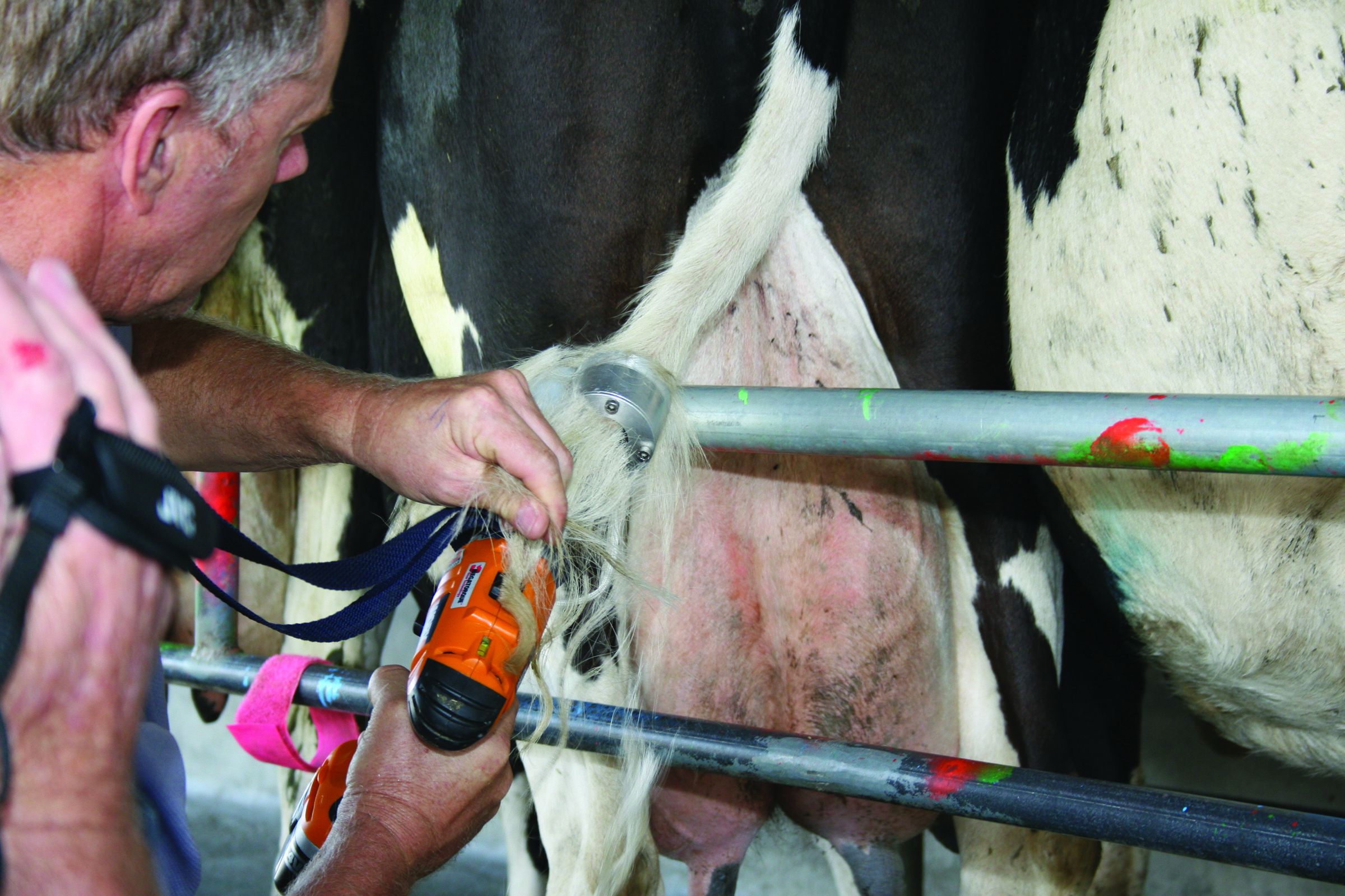 Tailwell2 Schwanztrimmer