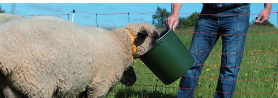 Seau plastique vert 12l