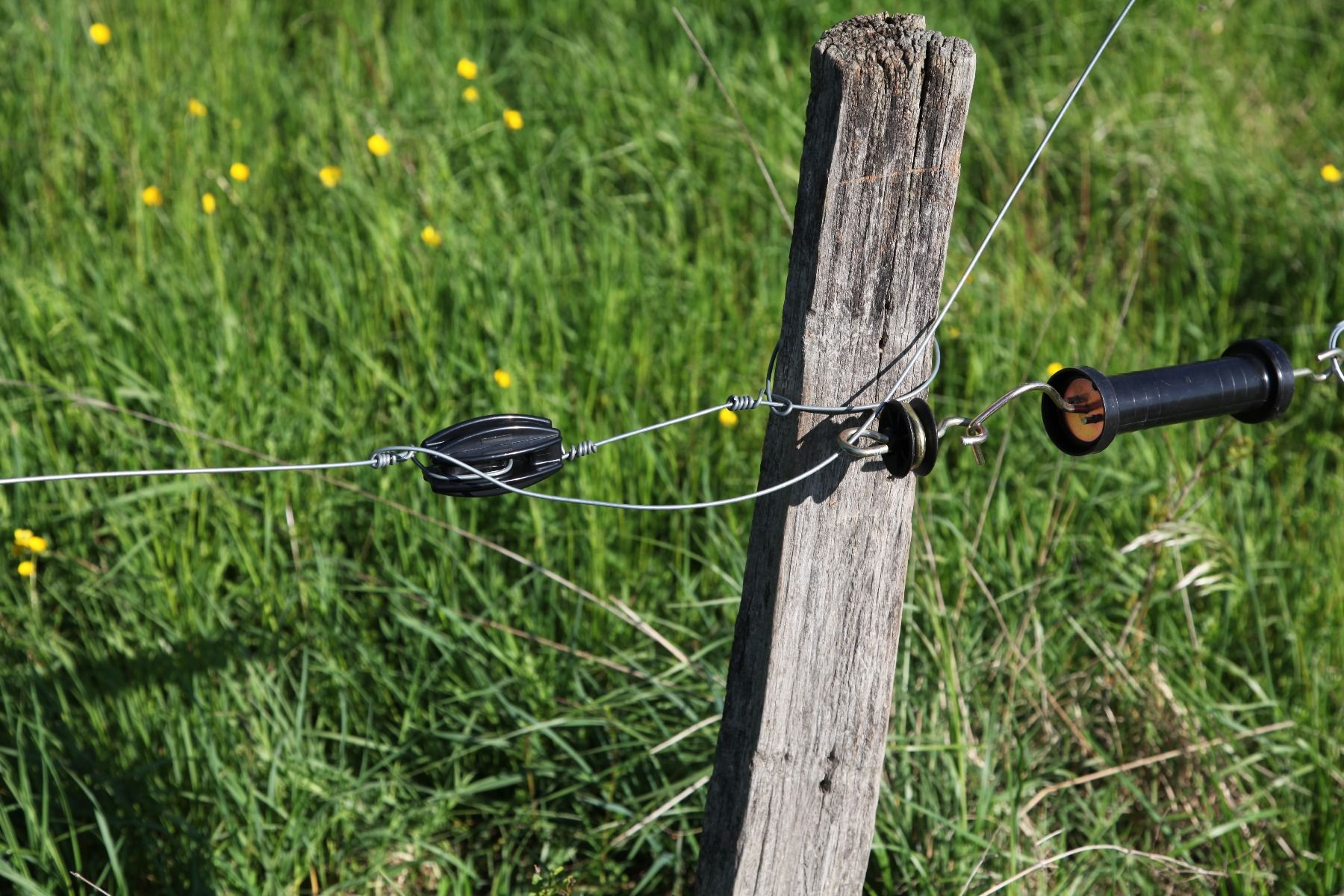 Isolateur œuf de coin ABS *18 HORIZONT 