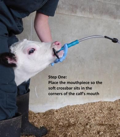 Sonde complète Flexituber ANTAHI 