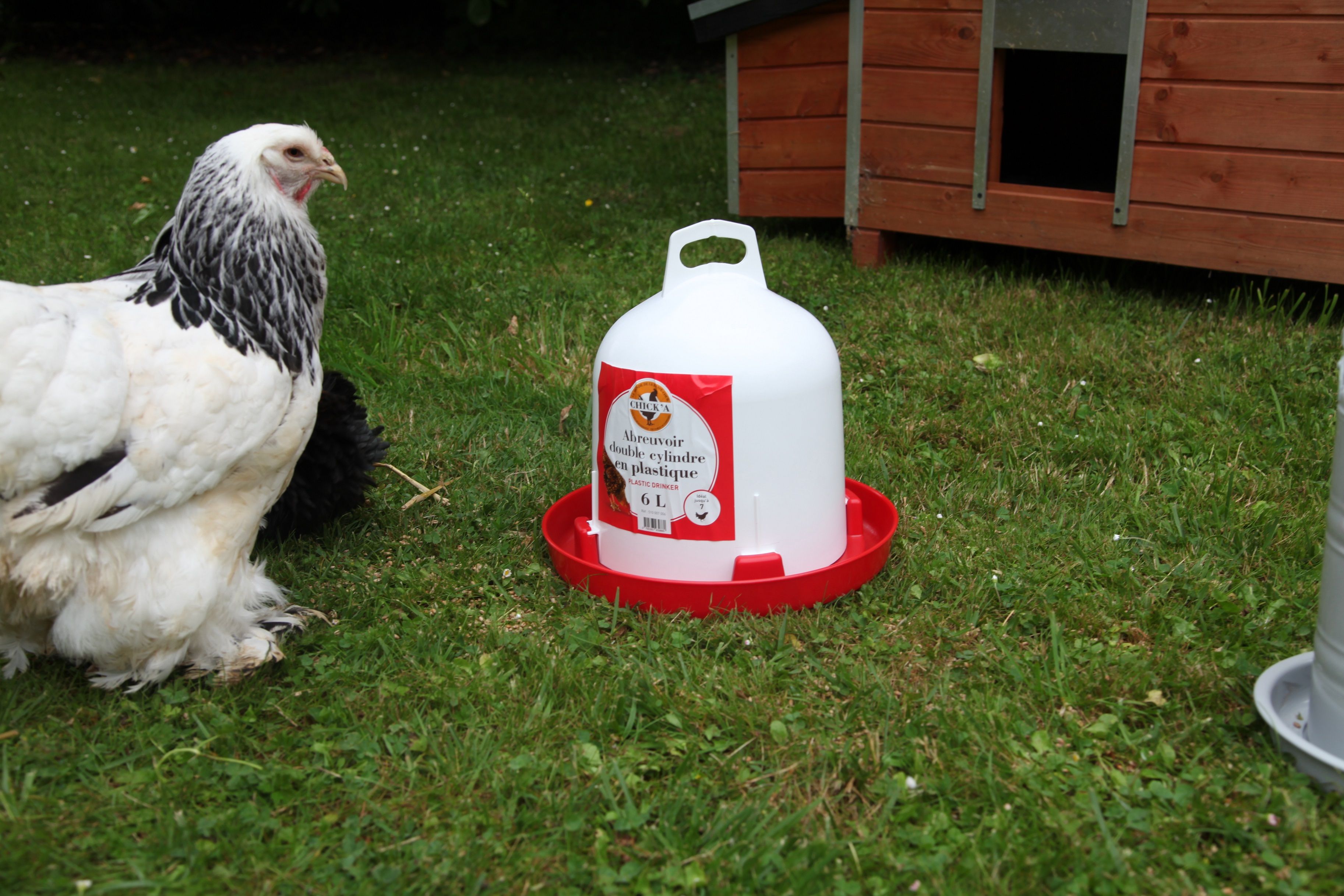 Abreuvoir double cylindre 6L ambiance