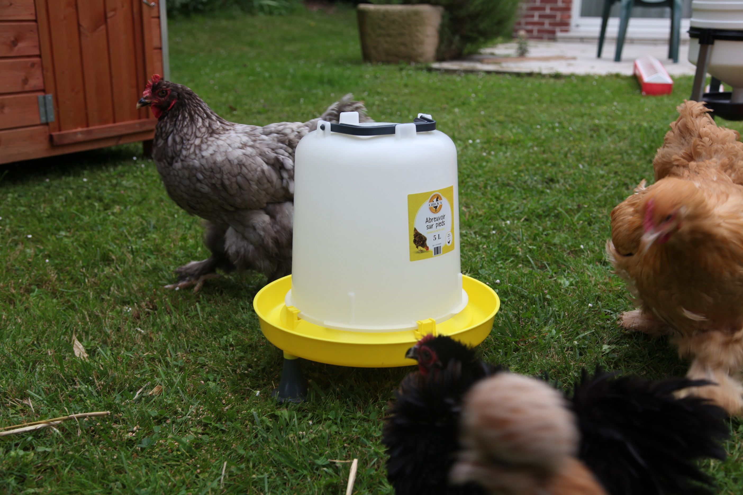 Abreuvoir sur pied 5L