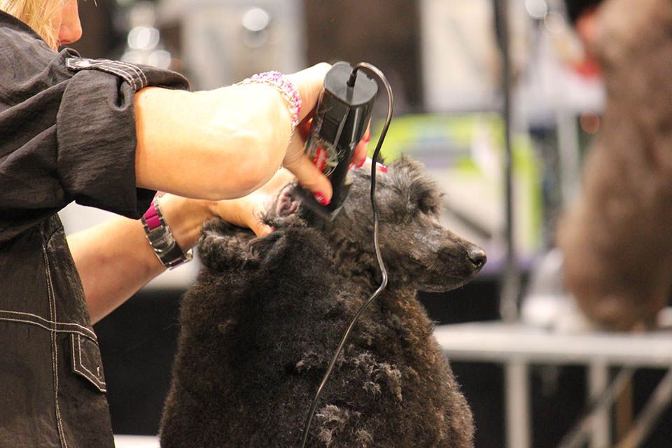 Heiniger Schermaschine Kabel 3M