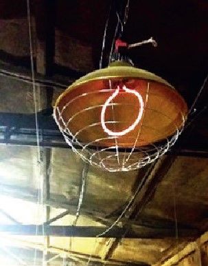 Protecteur en carbone Interheat, 1200-1500 W