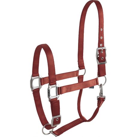 EQUITHÈME “Éclat” burgundy headcollar for Thoroughbred 