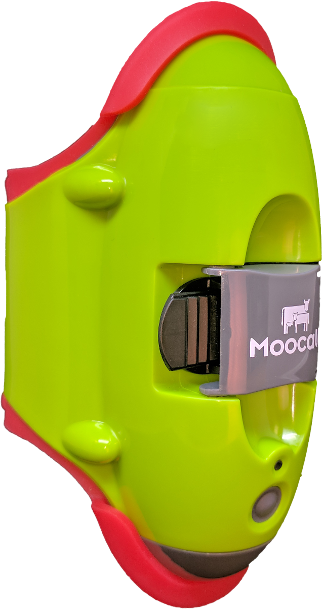 Détecteur de vêlage, MOOCALL 