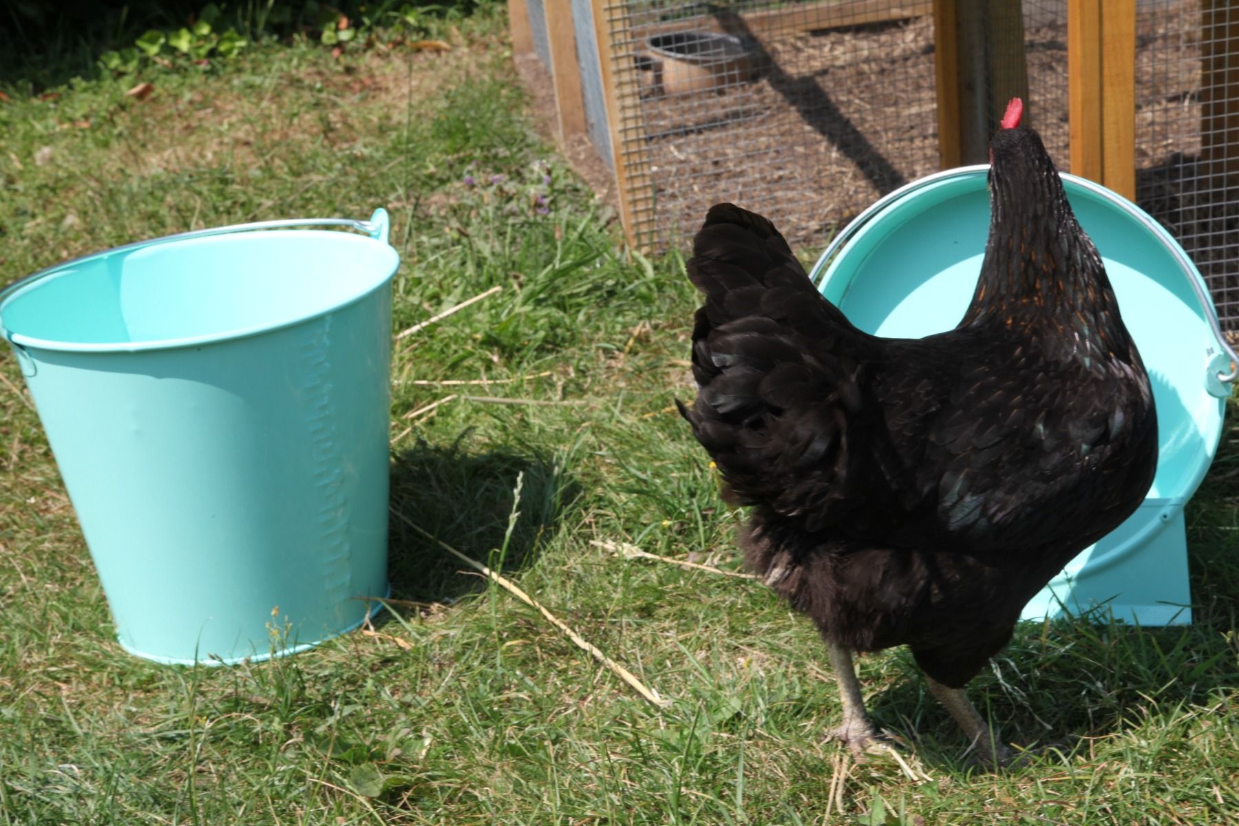 Light green epoxy bucket  12L