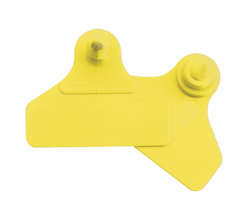 Boucles de marquage Ukaflex large+large nue jaune X20