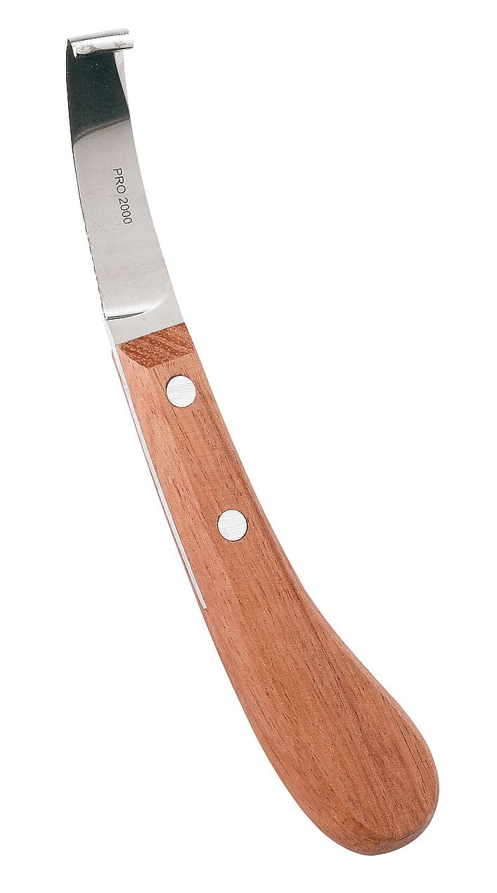 Renette EXTRA lame large droite