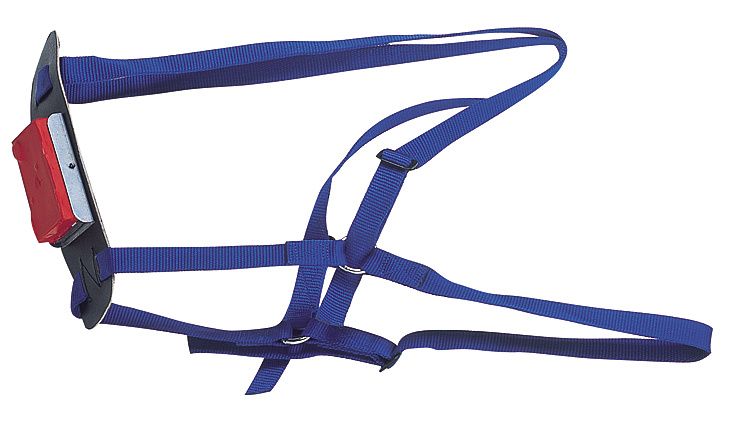 Nylon ram marking harness