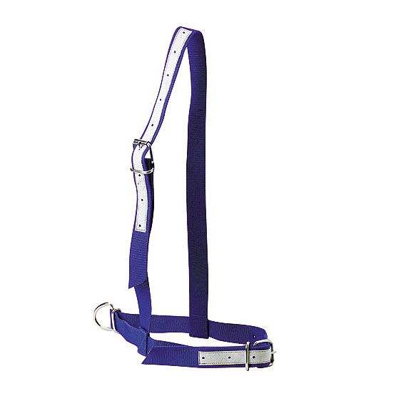 Nylon Kuhhalter Blau