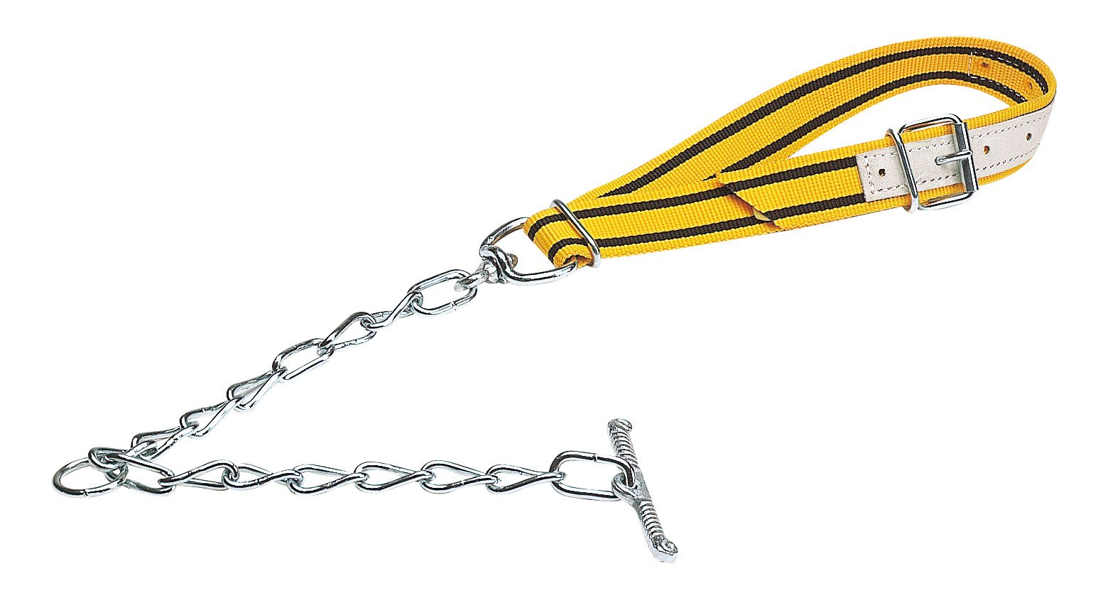 Nylon collar with attachment chain unpacked