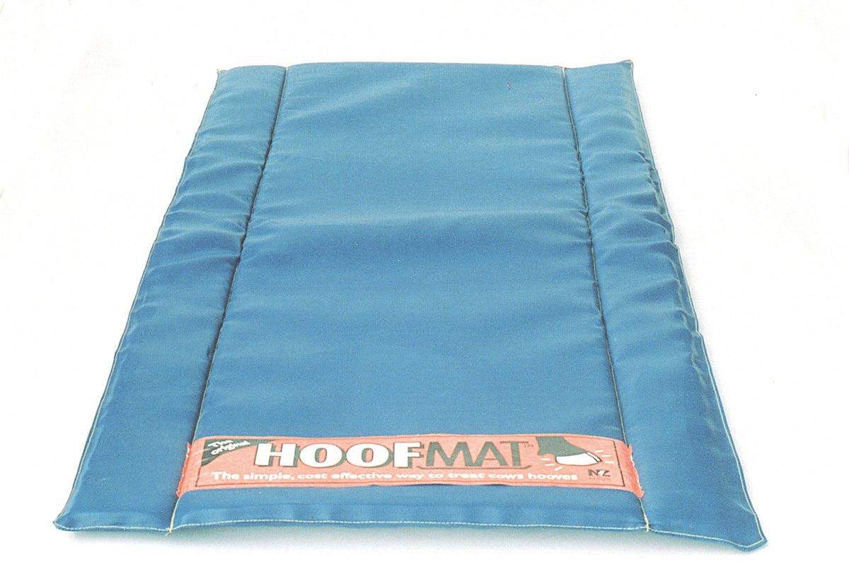 Blue premium hoofmat