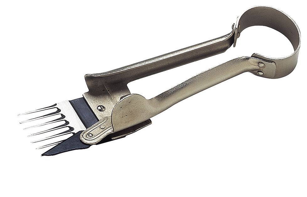 Tondeuse ciseaux pour moutons non emballée