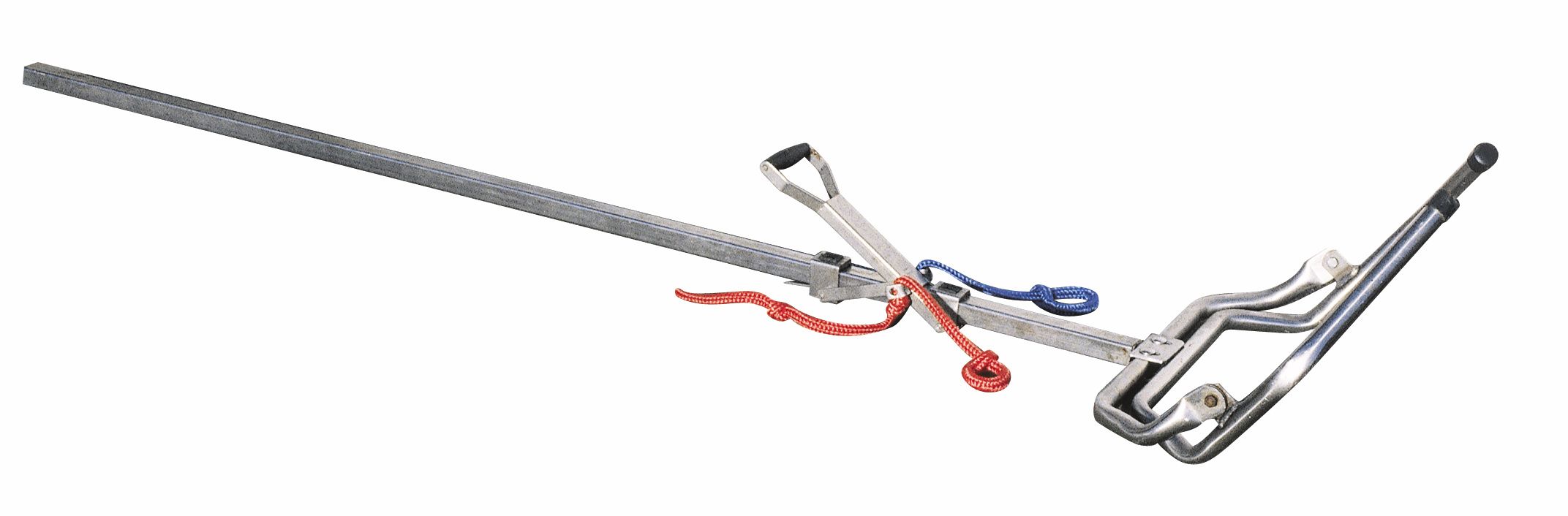 Calving jack beef cattle