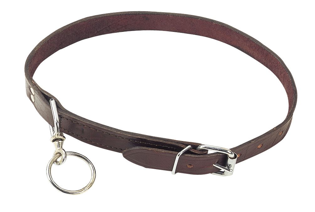 Leather calf collar with eye ring for calf unpacked