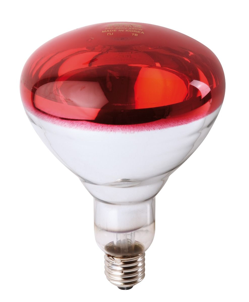 Philips Ir Lampe 150W Rot