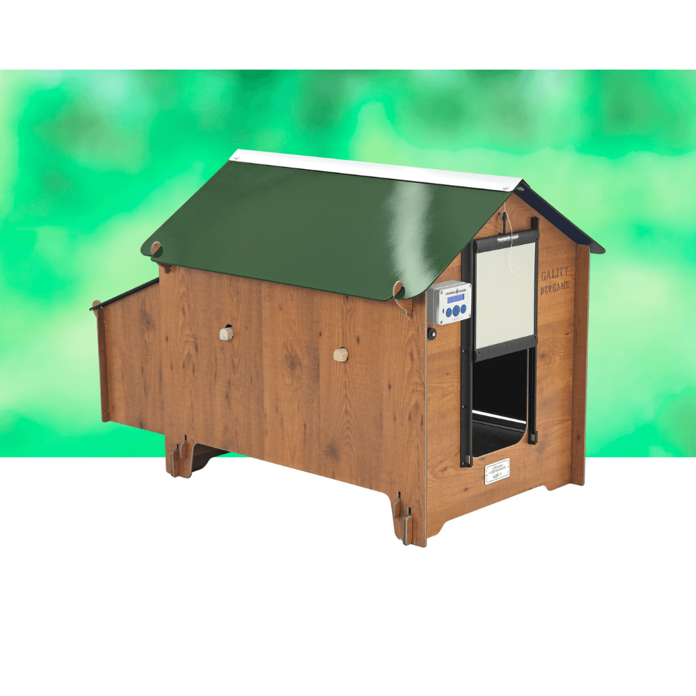 Poulailler Gality Bergame 