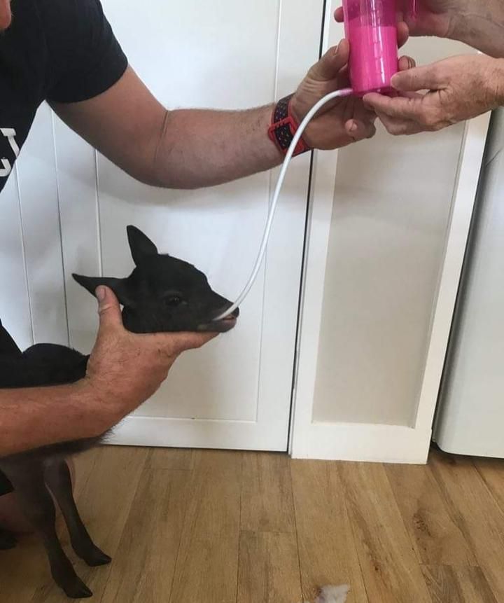 Ersatzrohr für den TrustiTuber für Lamm ANTAHI