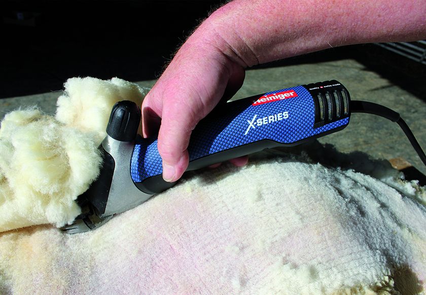 Tondeuse Heiniger Xpert avec un bon d'affûtage et un bon pour un jeu de peignes