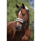 NORTON “Mouton synthétique doux” headcollar