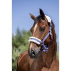 NORTON “Mouton synthétique doux” headcollar