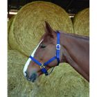 RIDING WORLD Headcollar